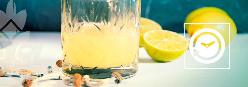 How Long Do the Effects of Lemon Tekking Last?